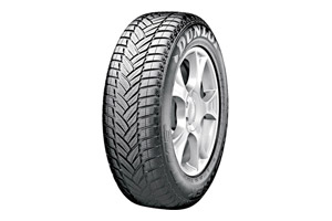 ���� Dunlop Sp Winter Sport M3 225/40R18 88H