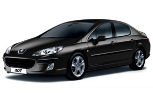 Peugeot 407 �����