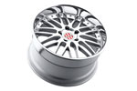 Victor Equipment Lemans Silver Wheel